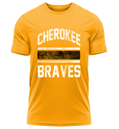 Atlanta Braves with the Eastern Band of the Cherokee Indians shirt, hoodie