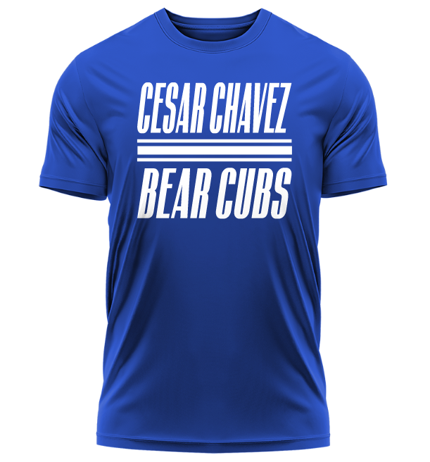 Cubs To Bears Adult Tri-Blend V-neck T-shirt - Athletic Grey