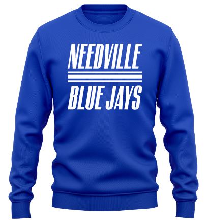 Dunedin Blue Jays Pride T-Shirt, hoodie, sweater and long sleeve